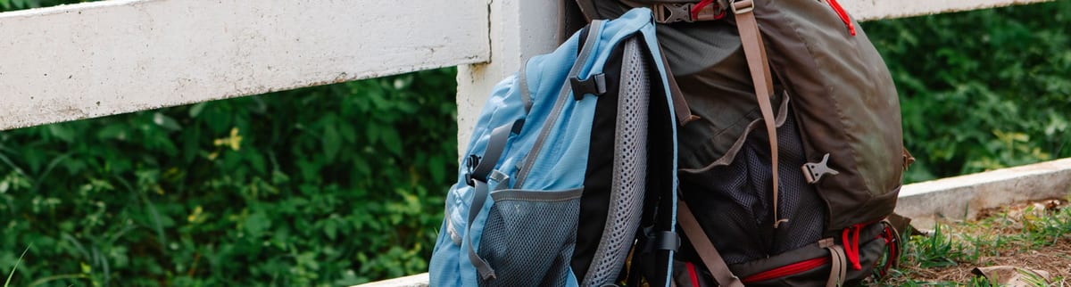 Pale blue daypack and olive green trekking pack leaning against a white fence rail, with shoulder straps, buckles and mesh side pockets in view
